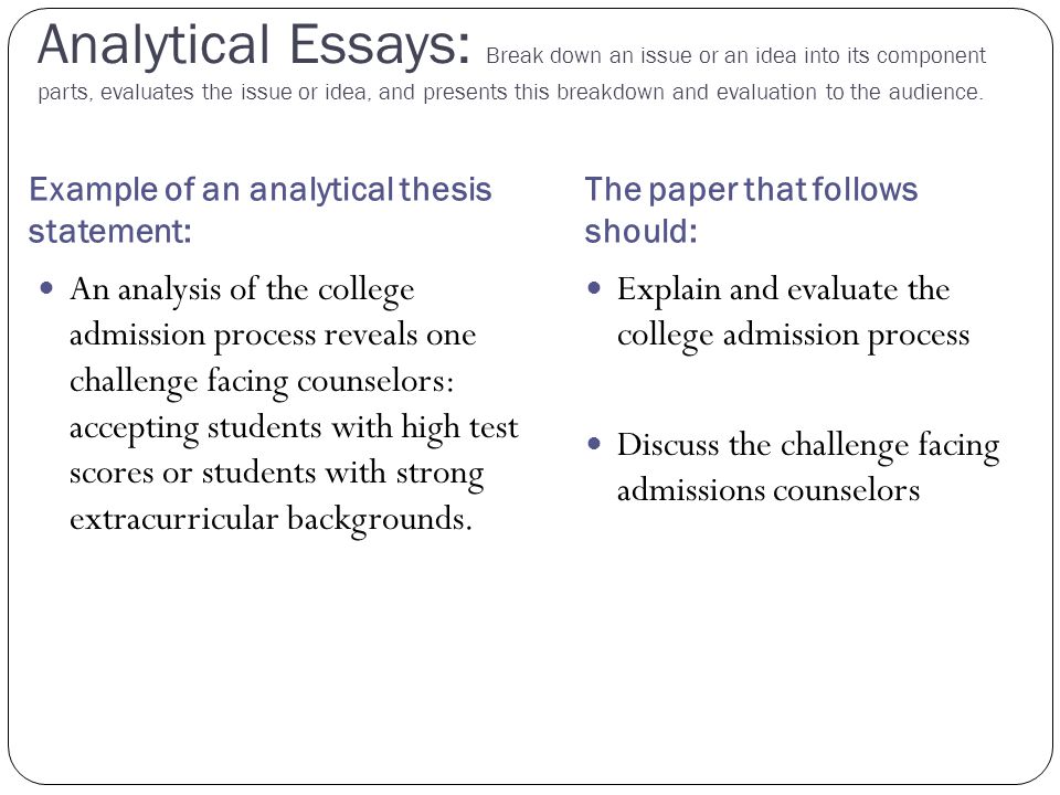 audience analysis example essays for kids